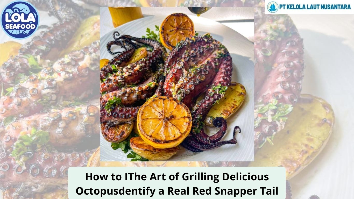 The Art of Grilling Delicious Octopus